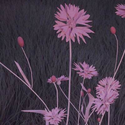 b体育在线登陆素描版